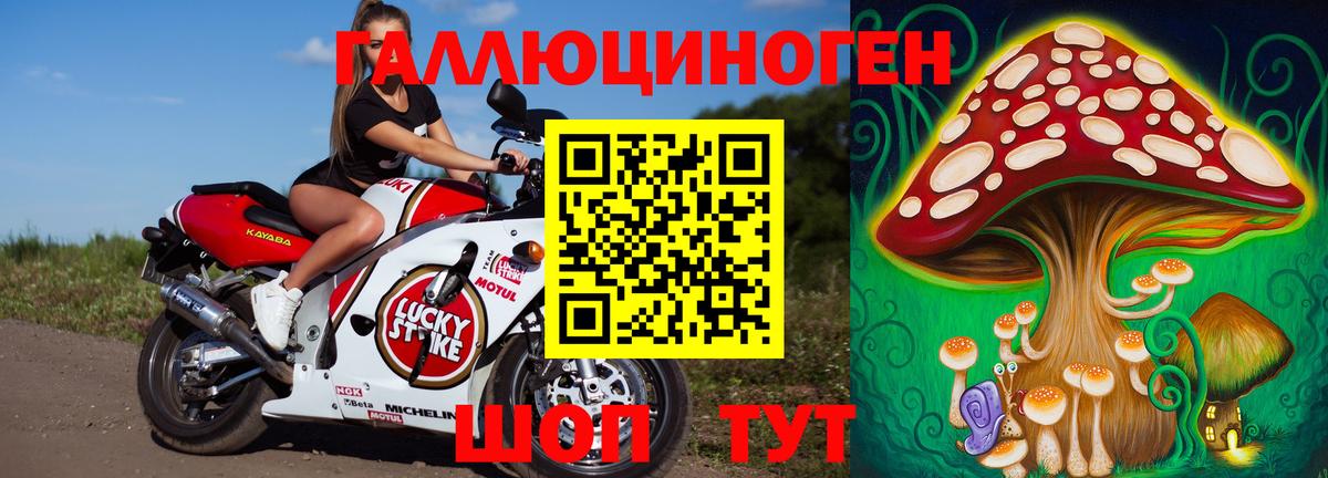 Псилоцибиновые грибы ЛСД Шелехов