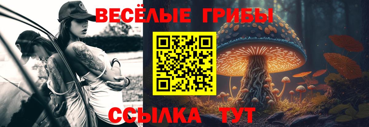 Шелехов  Галлюциногенные грибы прущие грибы  купить наркоту  Вход с VPN 